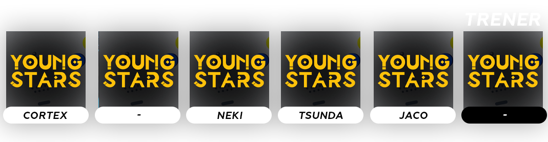 Grafika przedstawiająca skład Young Stars Academy